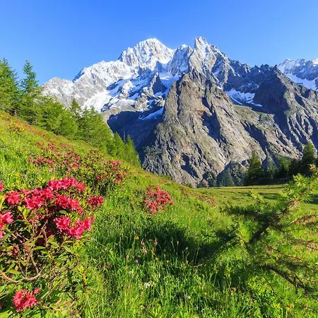 Plan Gorret Beautiful Flat In Daire Courmayeur